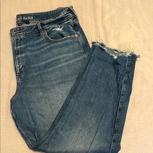 American Eagle Outfitters Strigid Mom Jean